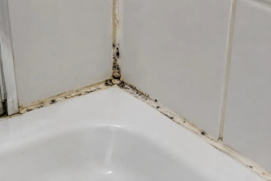 Kitbedrijf Barneveld – beschimmelde kitranden